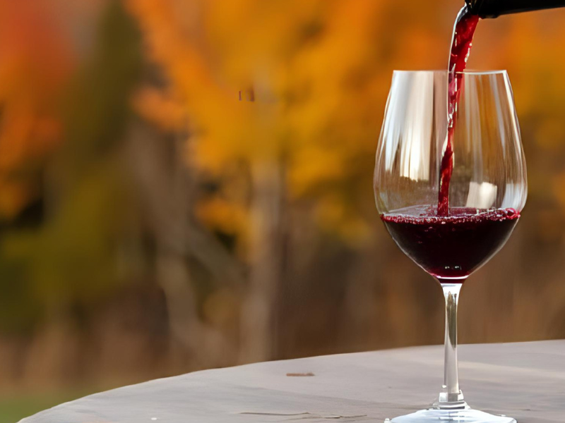 Efterårets portvine