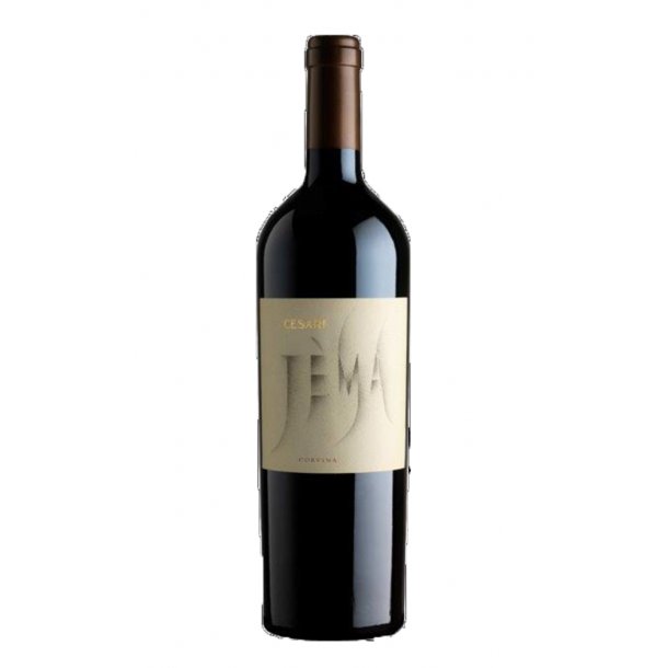 Cesari Jema Corvina