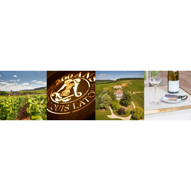 Winemakers Dinner p� Restaurant MOTA 8/10 kl 18 med Louis Latour Bourgogne