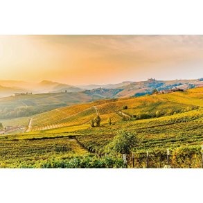 Kopi af Winemakers Dinner p� Restaurant MOTA 10/9 kl 18 med Agricola Brandini Piemonte