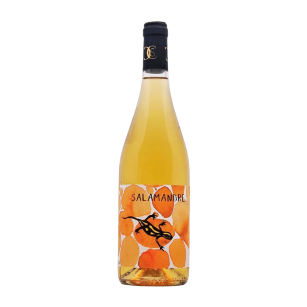 Salamandre Orange